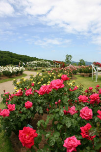 越後丘陵公園